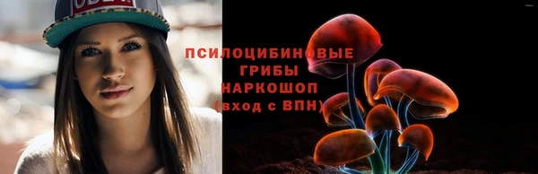 ГАЛЛЮЦИНОГЕННЫЕ ГРИБЫ Липки