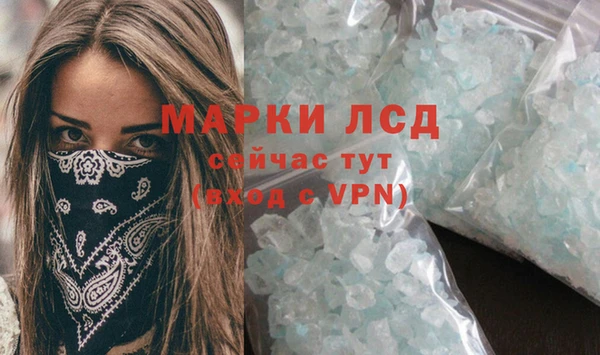 ГАЛЛЮЦИНОГЕННЫЕ ГРИБЫ Липки