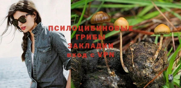 ГАЛЛЮЦИНОГЕННЫЕ ГРИБЫ Липки