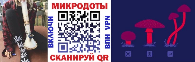 Псилоцибиновые грибы Psilocybe  Торопец 
