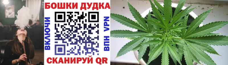 Бошки марихуана Amnesia Торопец